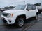 2019 Jeep Renegade Limited